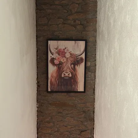 Le Foyer Ardennais Trois-Ponts